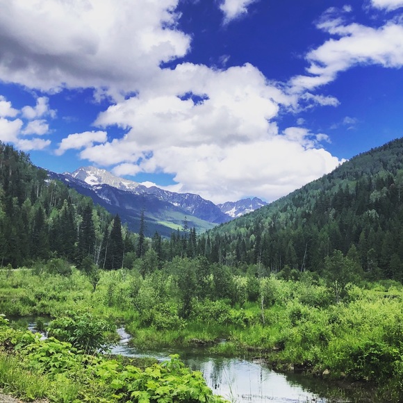 Meet your Posher, Jillian - Picture 1 of 1